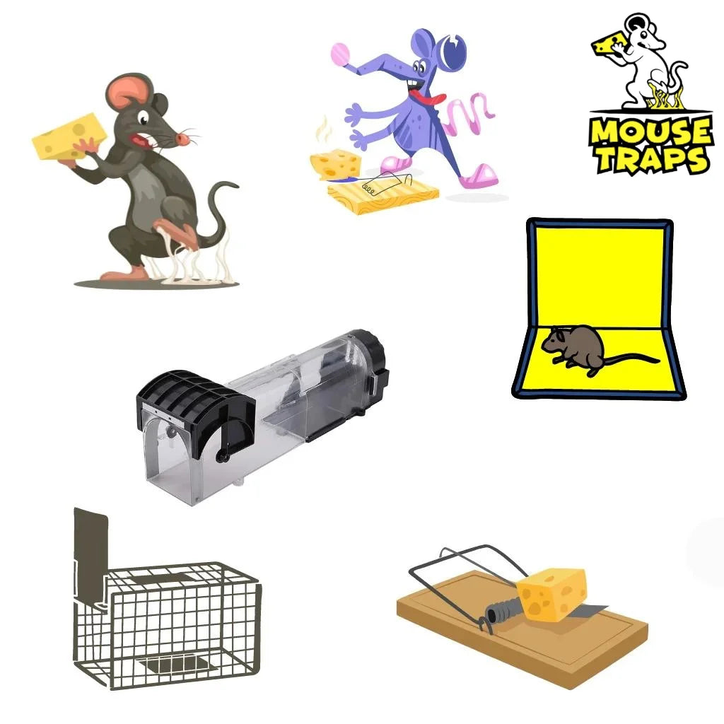 Best Alternative Of Mouse Glue Trap ASDA In UK