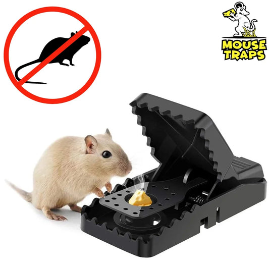 How Long Does It Take For A Mouse To Die In A Snap Trap? Straightforward Information