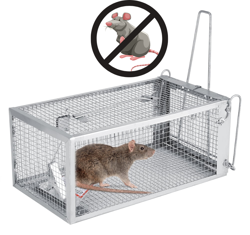 humane ways to remove mice