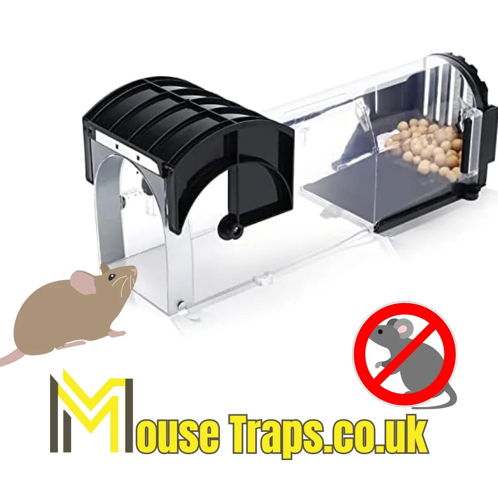 Live Catch Mouse Traps 