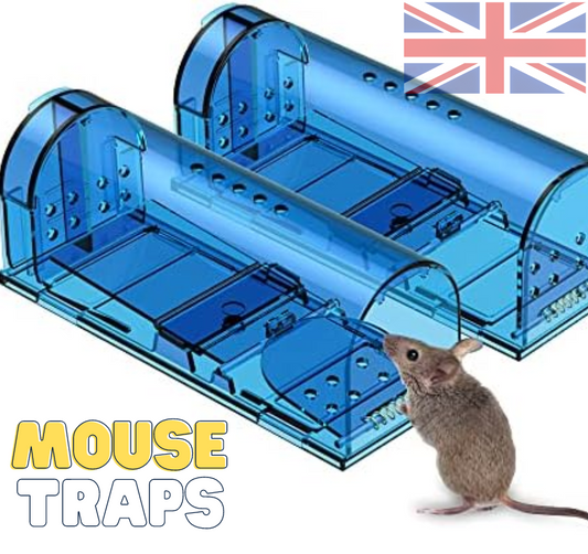 How to kill rats without poison? Most Effective Methods.