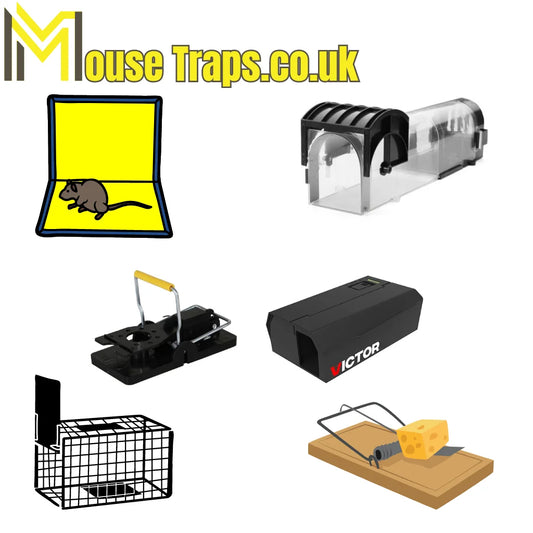 Where to Buy Mouse Traps in UK?