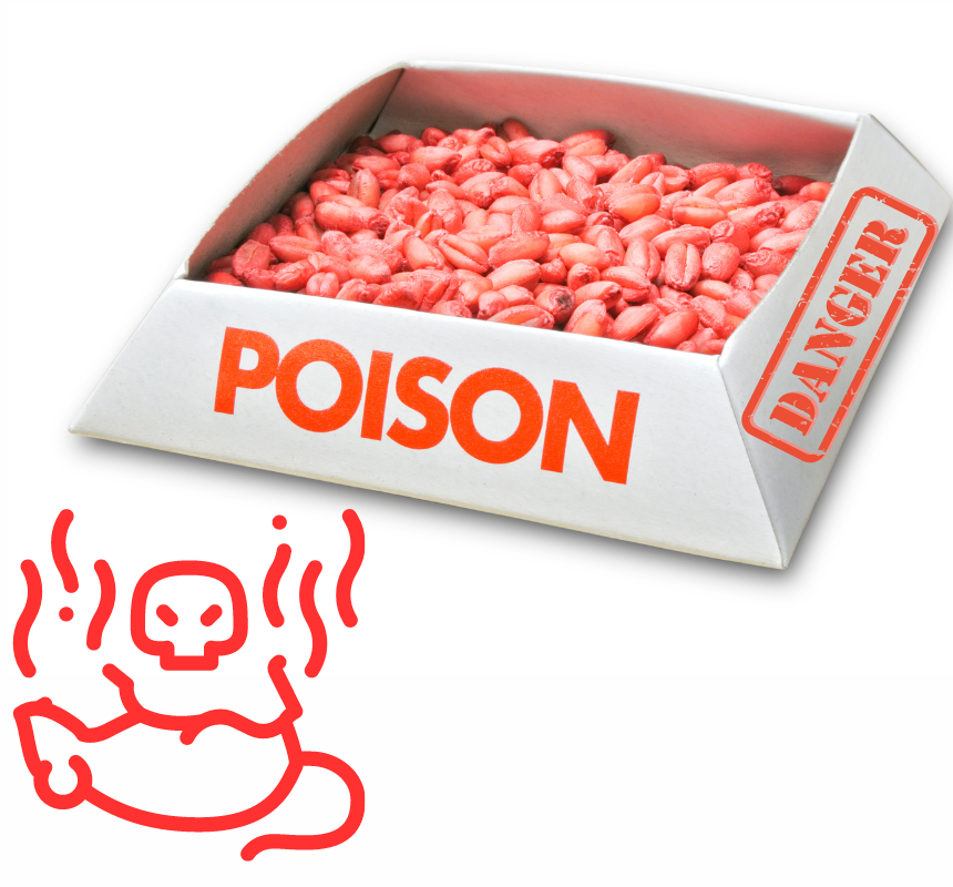 dangers of rat poison