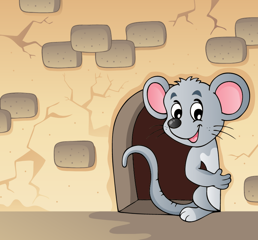 How to eliminate mice in the walls? Most Effective Strategies. – MOUSE